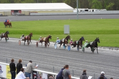 Harness racing begins at Tioga Downs!