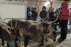 Lights on the River; December 7, 2018