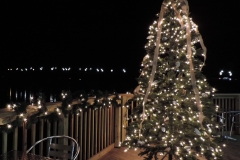 Lights on the River; December 7, 2018