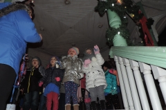 Lights on the River in downtown Owego; December 1, 2017