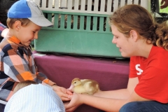 Newark Valley Apple Festival