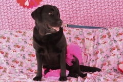 ODOG holds ‘Share the Love’ event