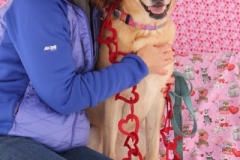 ODOG holds ‘Share the Love’ event