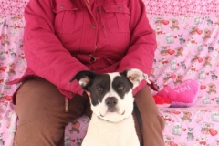 ODOG holds ‘Share the Love’ event