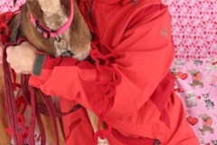 ODOG holds ‘Share the Love’ event