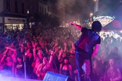 Strawberry Festival 2017