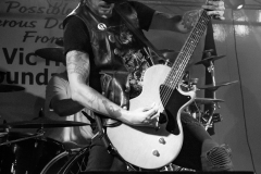 Strawberry Festival 2017
