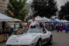 Strawberry Festival 2017