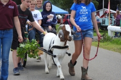 Tioga County Fair - Aug. 5, 2017