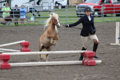 More Fair Photos and Derby Action