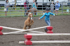 More Fair Photos and Derby Action