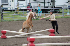 More Fair Photos and Derby Action