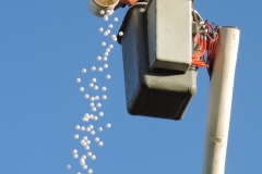 Traci's Hope; Oct. 7, 2017